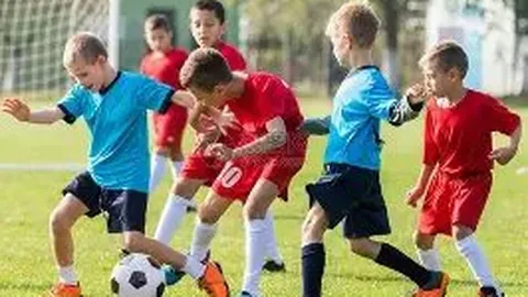 开云体育娱乐 资讯 094055 b3k