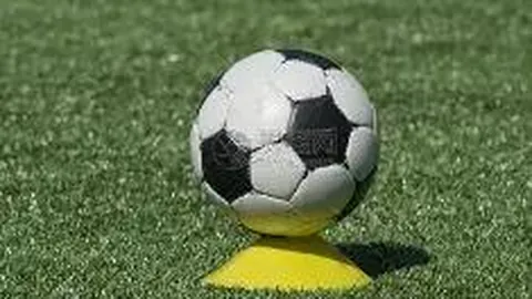 开云体育娱乐 产品 094244 pdj